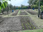 Terreno in vendita a Civitanova Marche MC