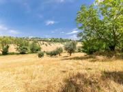 Terreno in vendita a Civitanova Marche MC