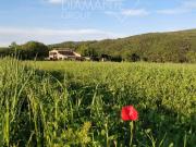 Terreno in vendita a Civitella Paganico GR