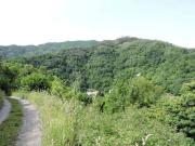 Terreno in vendita a Cogorno GE