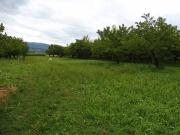 Terreno in vendita a Colceresa VI