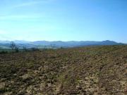 Terreno in vendita a Colle di Val d'Elsa SI