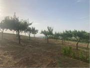 Terreno in vendita a Collecorvino PE