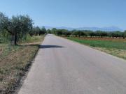 Terreno in vendita a Collecorvino PE