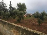 Terreno in vendita a Collepasso LE