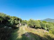 Terreno in vendita a Collesano PA