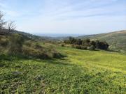 Terreno in vendita a Collesano PA