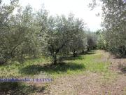 Terreno in vendita a Colli del Tronto AP