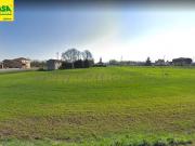 Terreno in vendita a Cologna Veneta VR