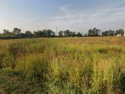Terreno in vendita a Colognola Ai Colli VR