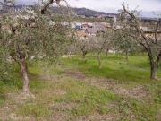 Terreno in vendita a Colonnella TE