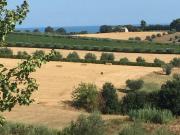Terreno in vendita a Colonnella TE