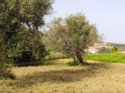 Terreno in vendita a Condrò ME