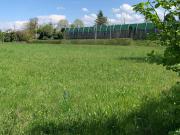 Terreno in vendita a Conegliano TV