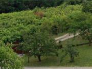 Terreno in vendita a Conegliano TV