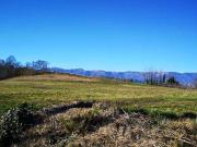 Terreno in vendita a Conegliano TV