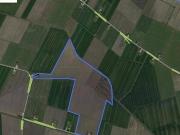 Terreno in vendita a Copparo FE