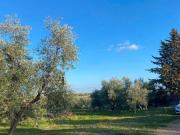 Terreno in vendita a Corato BA