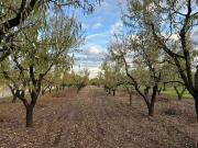Terreno in vendita a Corato BA