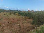 Terreno in vendita a Corato BA