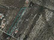 Terreno in vendita a Corato BA