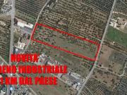 Terreno in vendita a Corato BA