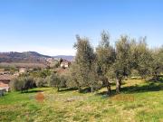 Terreno in vendita a Corciano PG