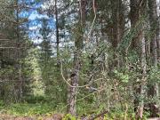 Terreno in vendita a Corigliano Rossano CS