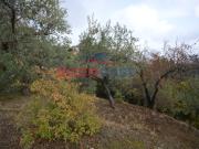 Terreno in vendita a Corigliano Rossano CS