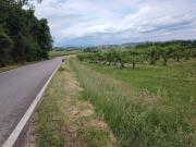 Terreno in vendita a Cormons GO