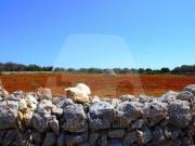Terreno in vendita a Corsano LE