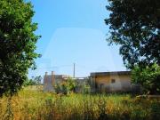 Terreno in vendita a Corsano LE