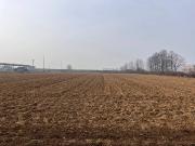 Terreno in vendita a Corte de' Frati CR