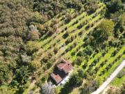 Terreno in vendita a Cravanzana CN