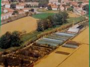 Terreno in vendita a Crespina e Lorenzana PI