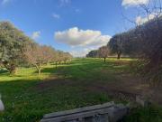Terreno in vendita a Crispiano TA
