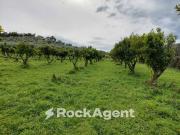 Terreno in vendita a Crotone KR