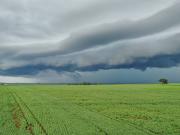 Terreno in vendita a Cuggiono MI