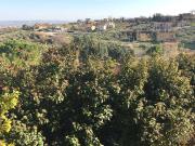 Terreno in vendita a Cupello CH