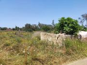 Terreno in vendita a Cutrofiano LE