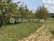 Terreno di 1451 mq in vendita a Cutrofiano Rif. 4519024