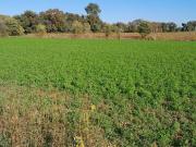 Terreno in vendita a Desenzano del Garda BS