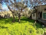 Terreno in vendita a Diamante CS