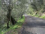 Terreno in vendita a Diano Castello IM Terreno in vendita a Diano Castello IM