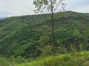 Terreno in vendita a Dipignano CS