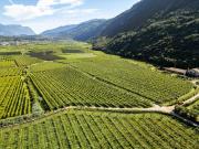 Terreno in vendita a Dro TN