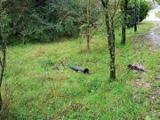 Terreno in vendita a Duino Aurisina TS