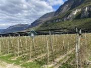 Terreno in vendita a Egna BZ