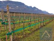 Terreno in vendita a Egna BZ