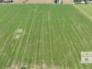 Terreno in vendita a Este PD